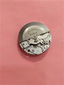 موتور