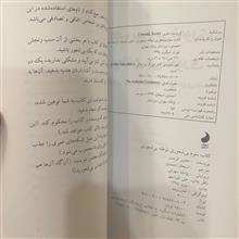 بیشعوری