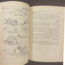 گیلان