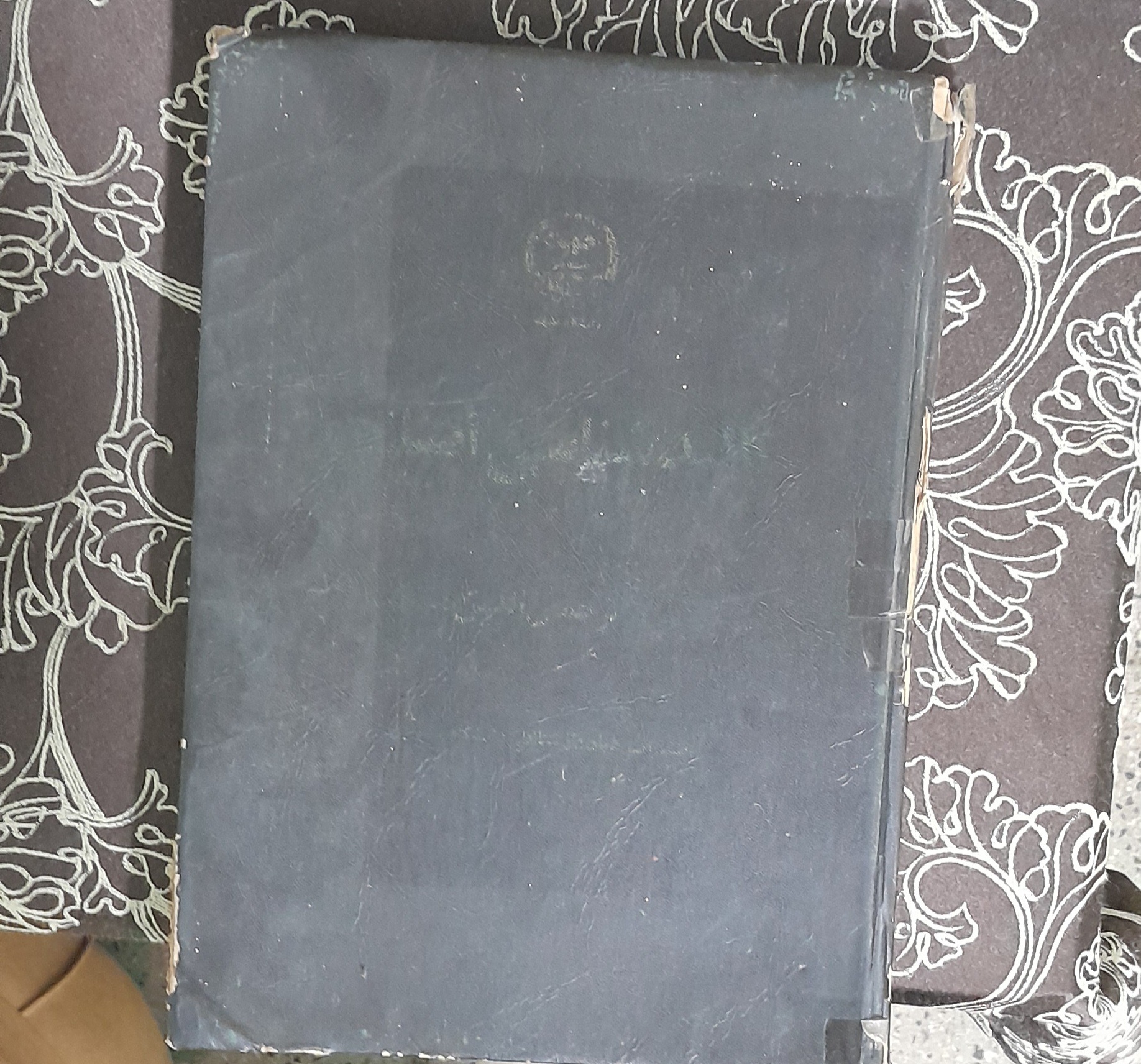 کالبد شناسی انسانی