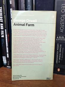 Animal