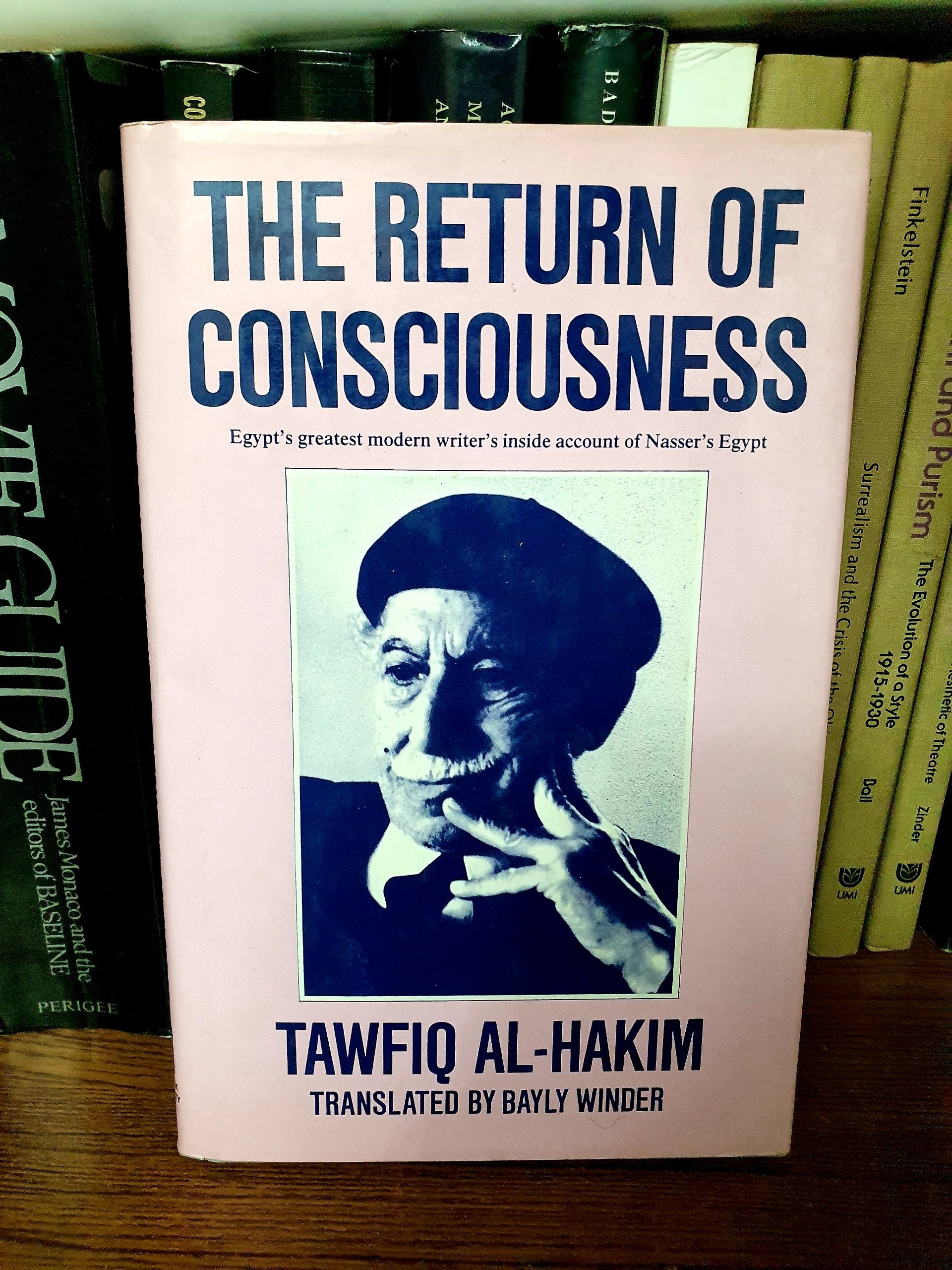 The Return of Consciousness