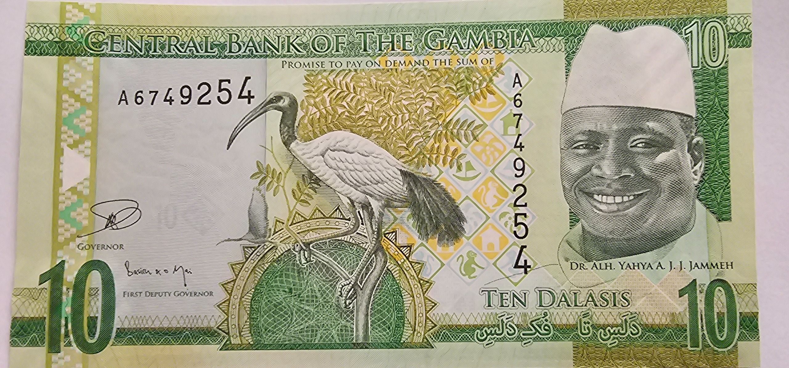 10 دالاسی گامبیا