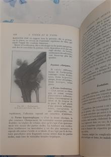 PATHOLOGIE