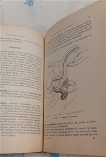 PATHOLOGIE