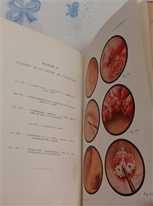 PATHOLOGIE