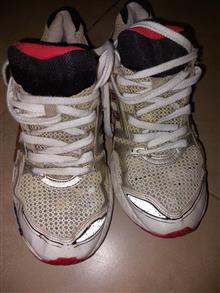 کتانی