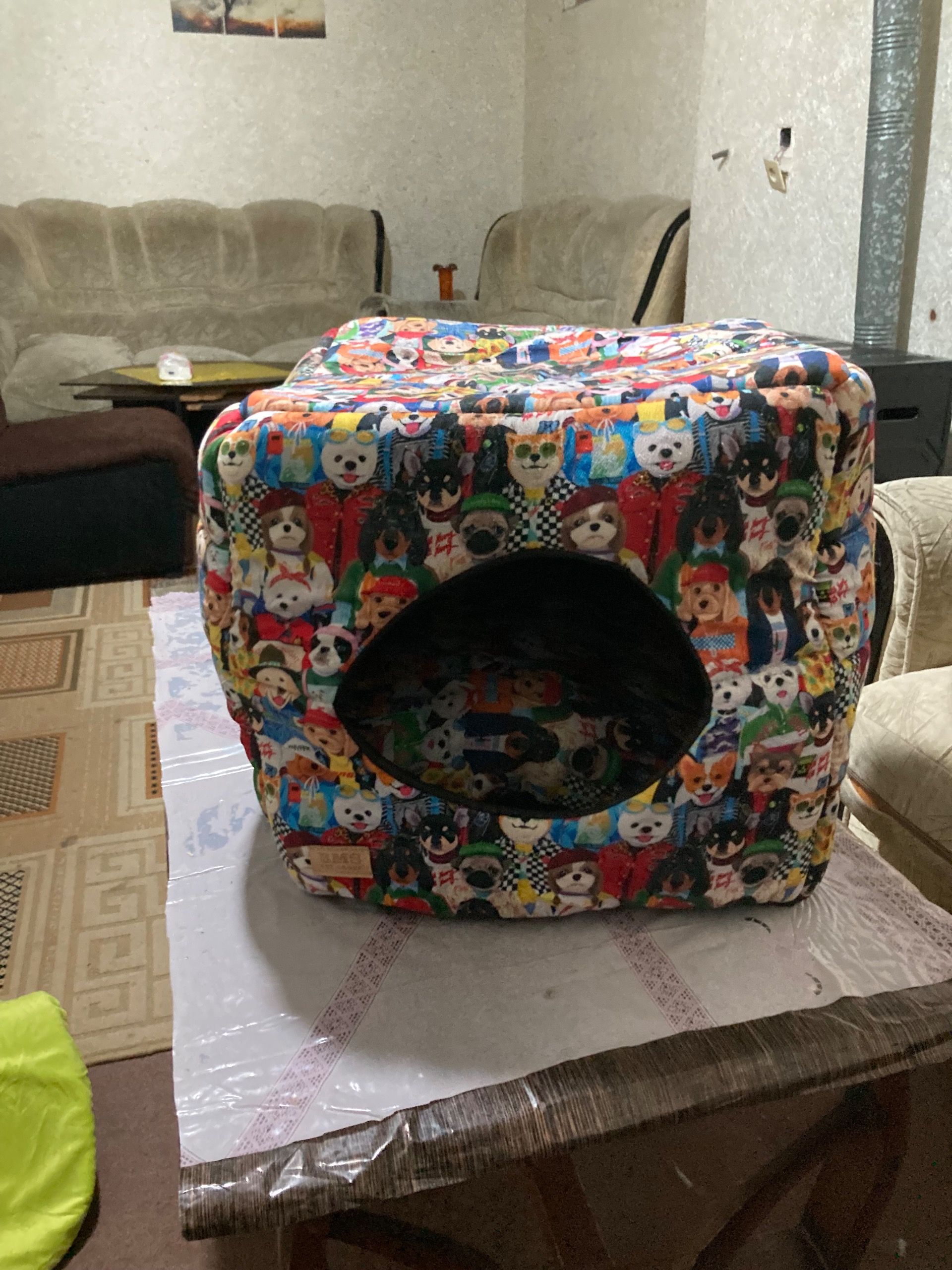 خانه سگ و گربه