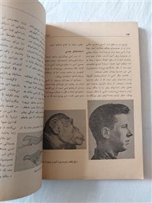 زیست