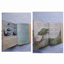 فارسی