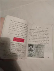 تعلیمات