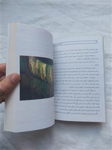 کشت