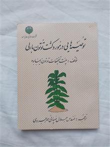 کشت