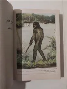 زیست