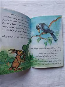 دروغگوی