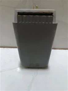 ریش