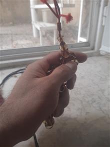 تسبیح