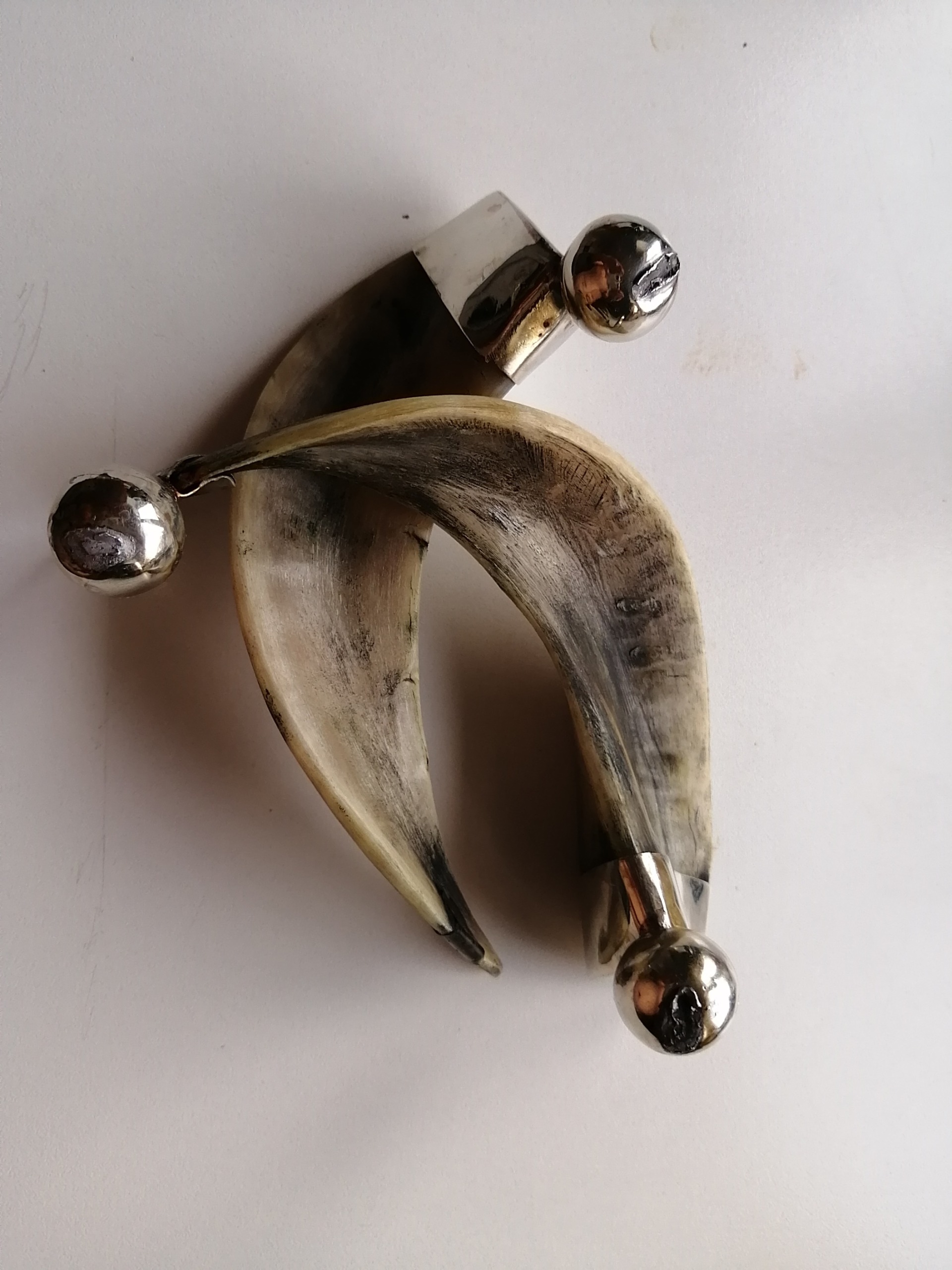 شاخ بز تزئینی