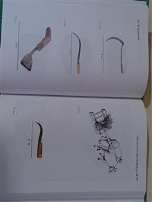 دردرگزواژه