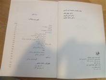 گزیده