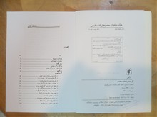 گزیده