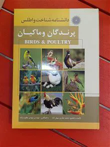 دانشنامه