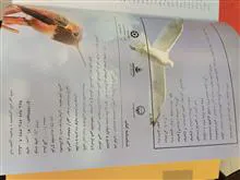 دانشنامه