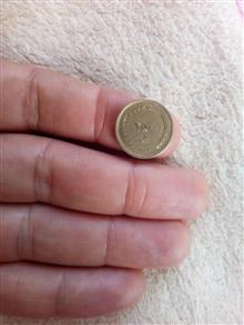 سکه