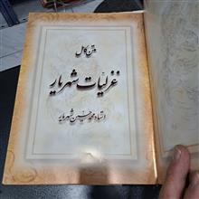 متن