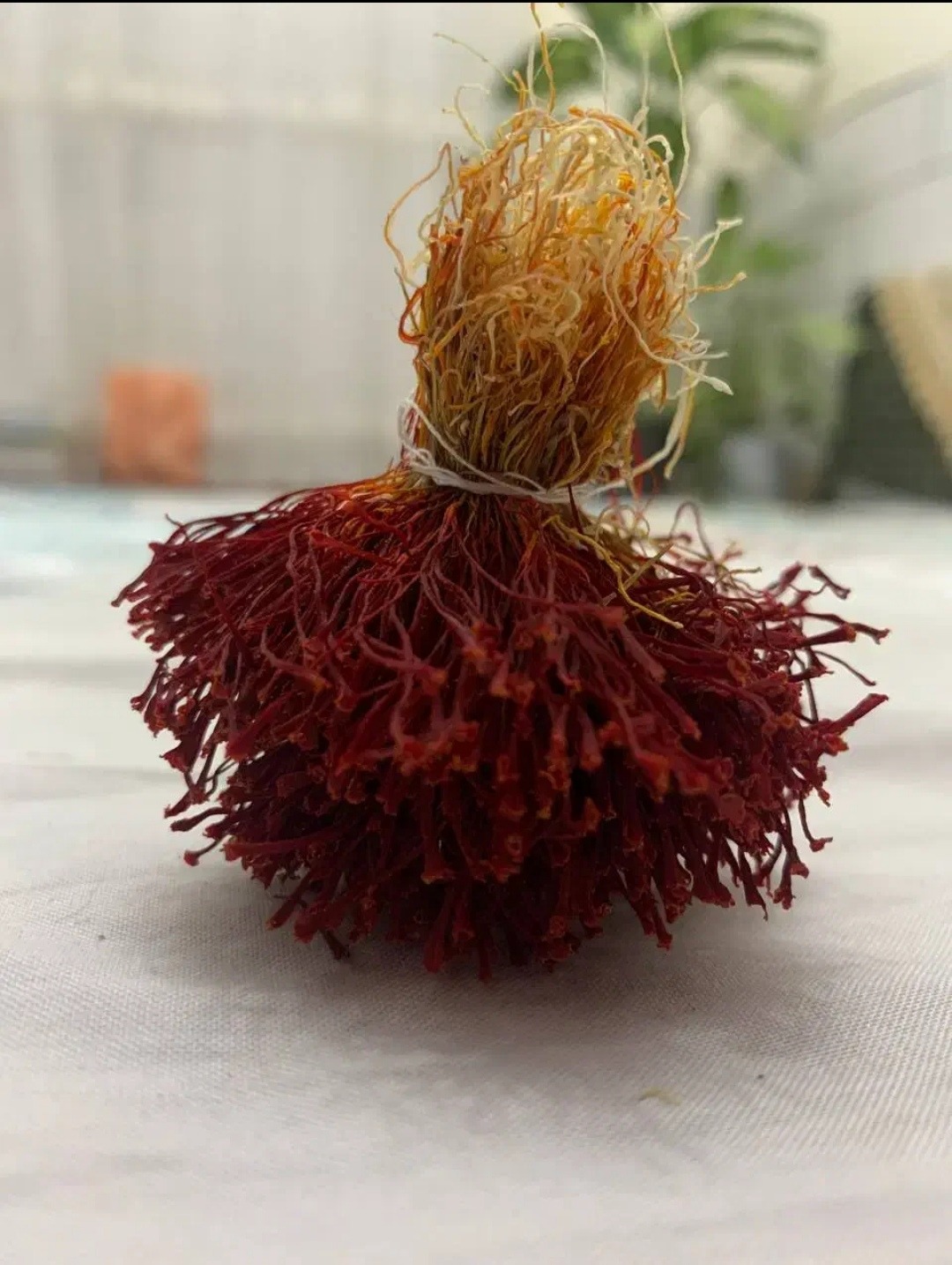 زعفران قاینات خراسان