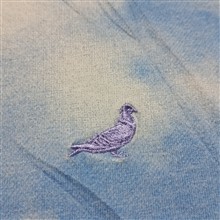 تیشرت