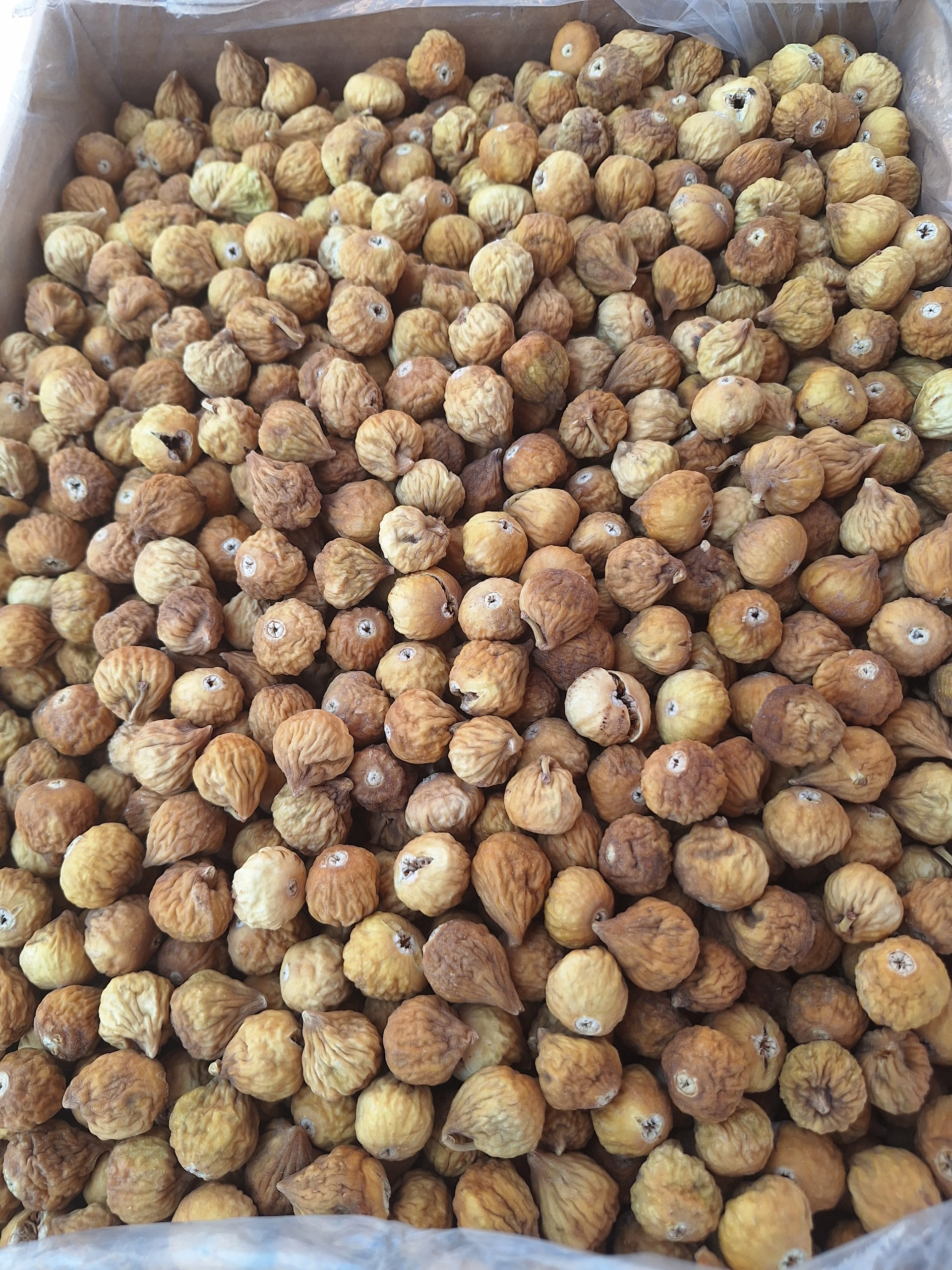 انجیراستهبان سایزدرشت،(1کیلویی)(ارسال رایگان)