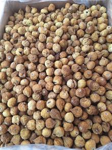 انجیراستهبان