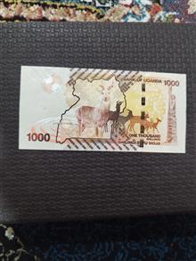 اسکناس