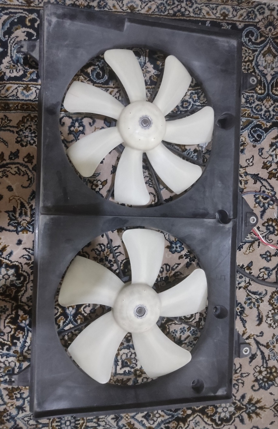 فن کامل کمری