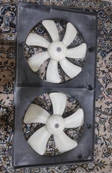 فن
