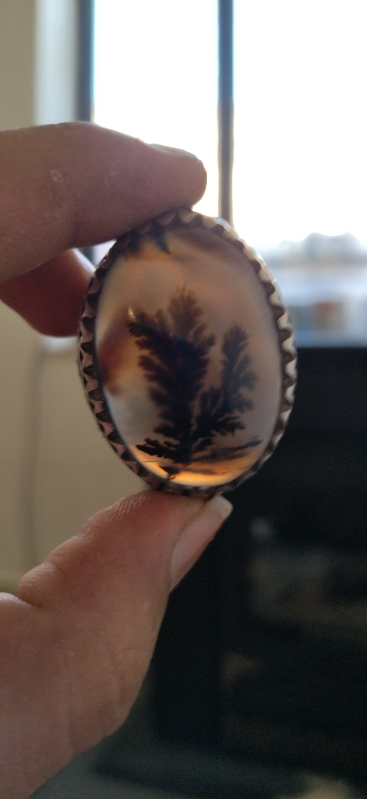 شجر قائنات تک درخت غول