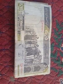 44