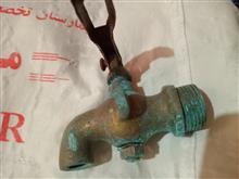 شیر