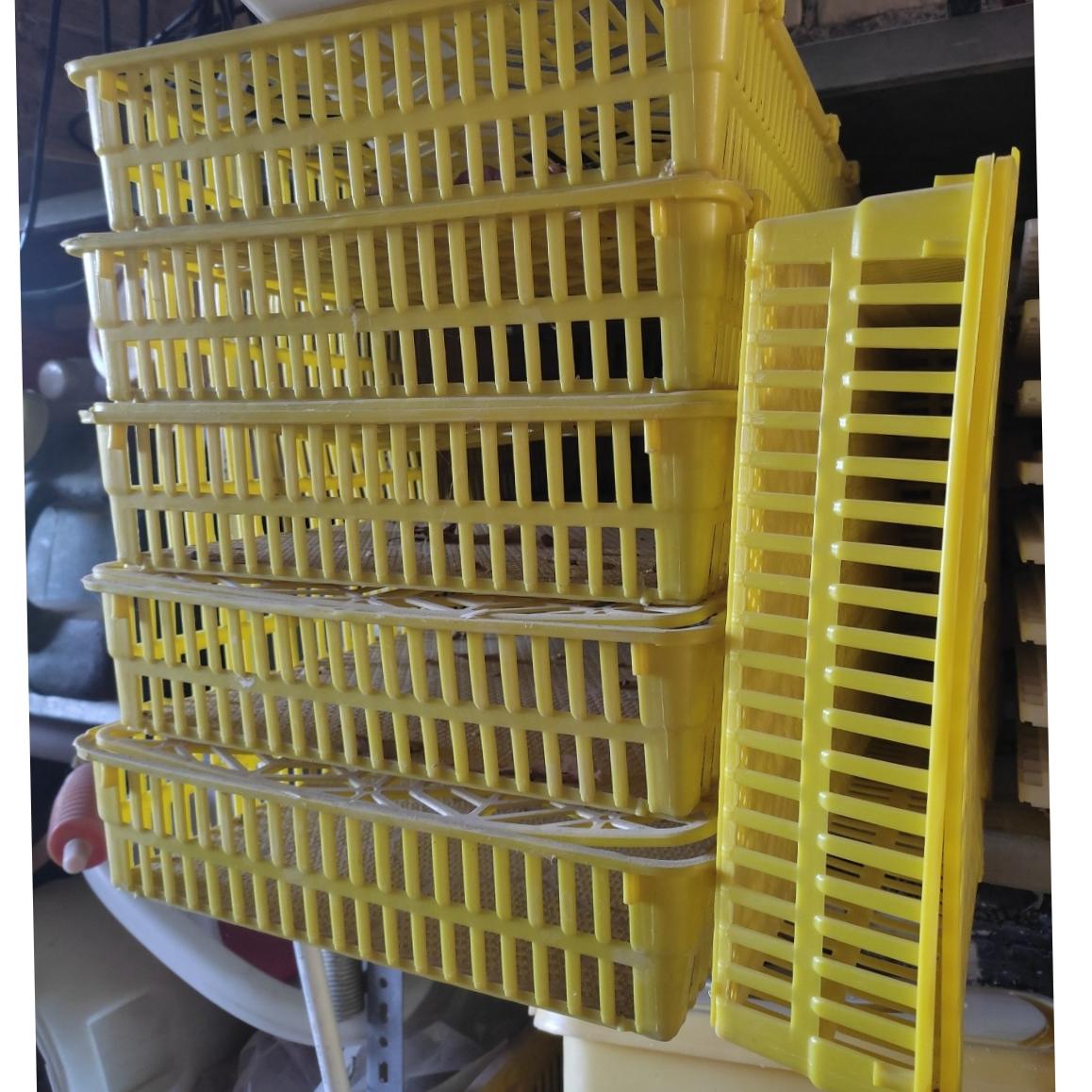 6 عدد سبد هچر جوجه کشی 30×60 (یکجا)