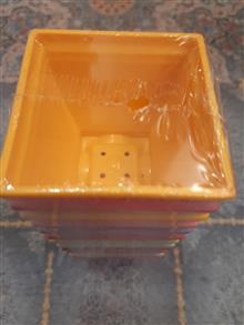گلدان