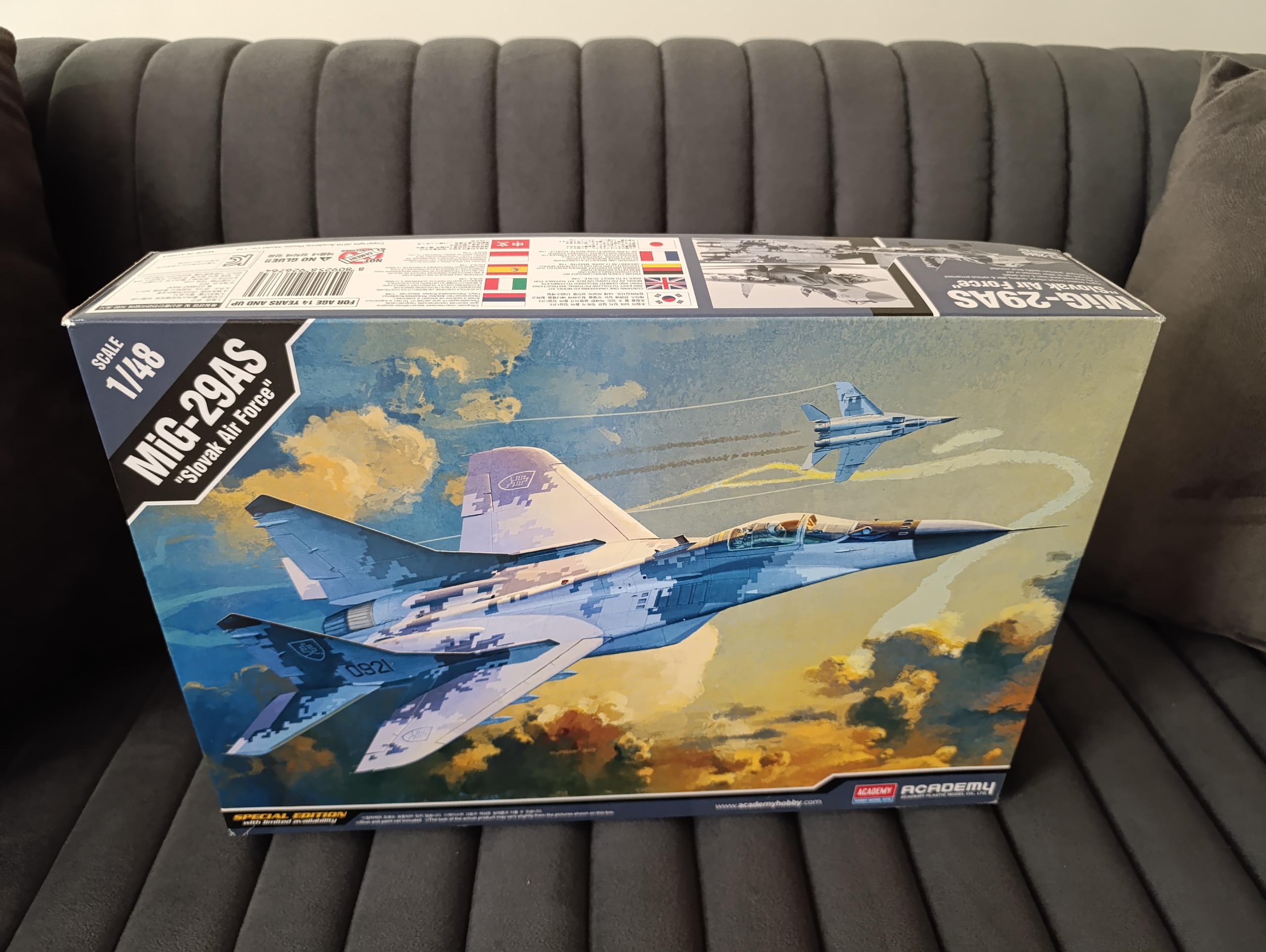 میگه 29 برند آکادمی نیروی هوایی اسلواکی