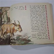 زاهد