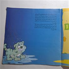 گربه