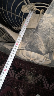 فن