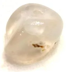 مهره