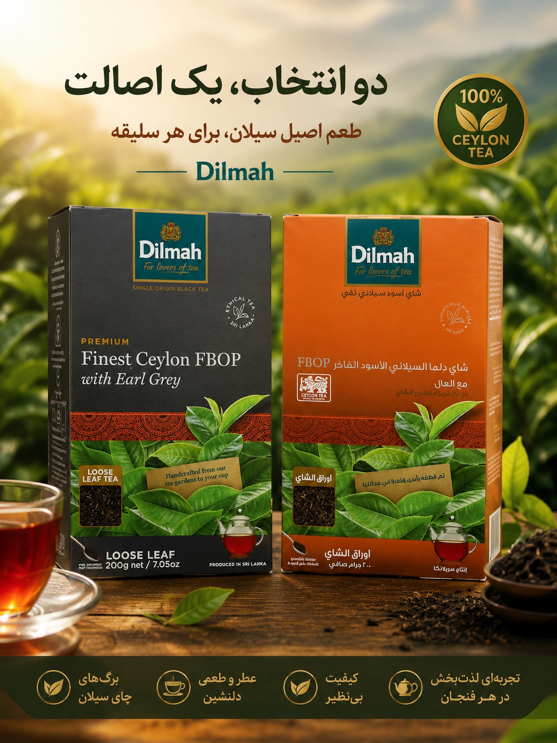 چای دیلما عطری و ساده