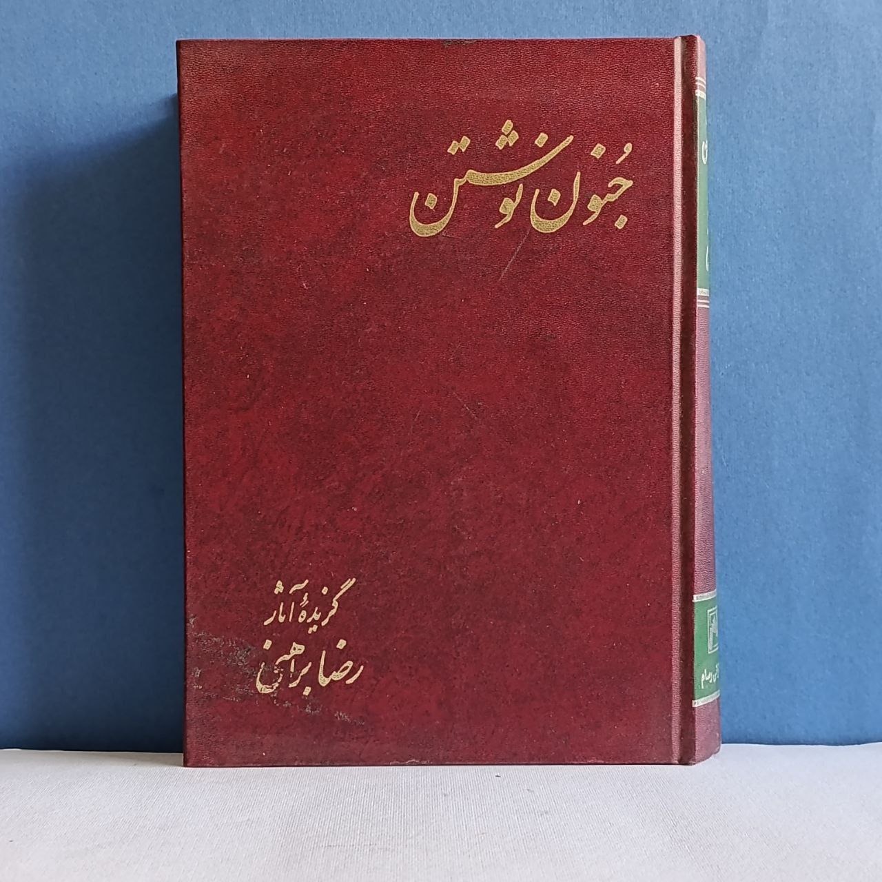 جنون نوشتن.  گزیده آثار