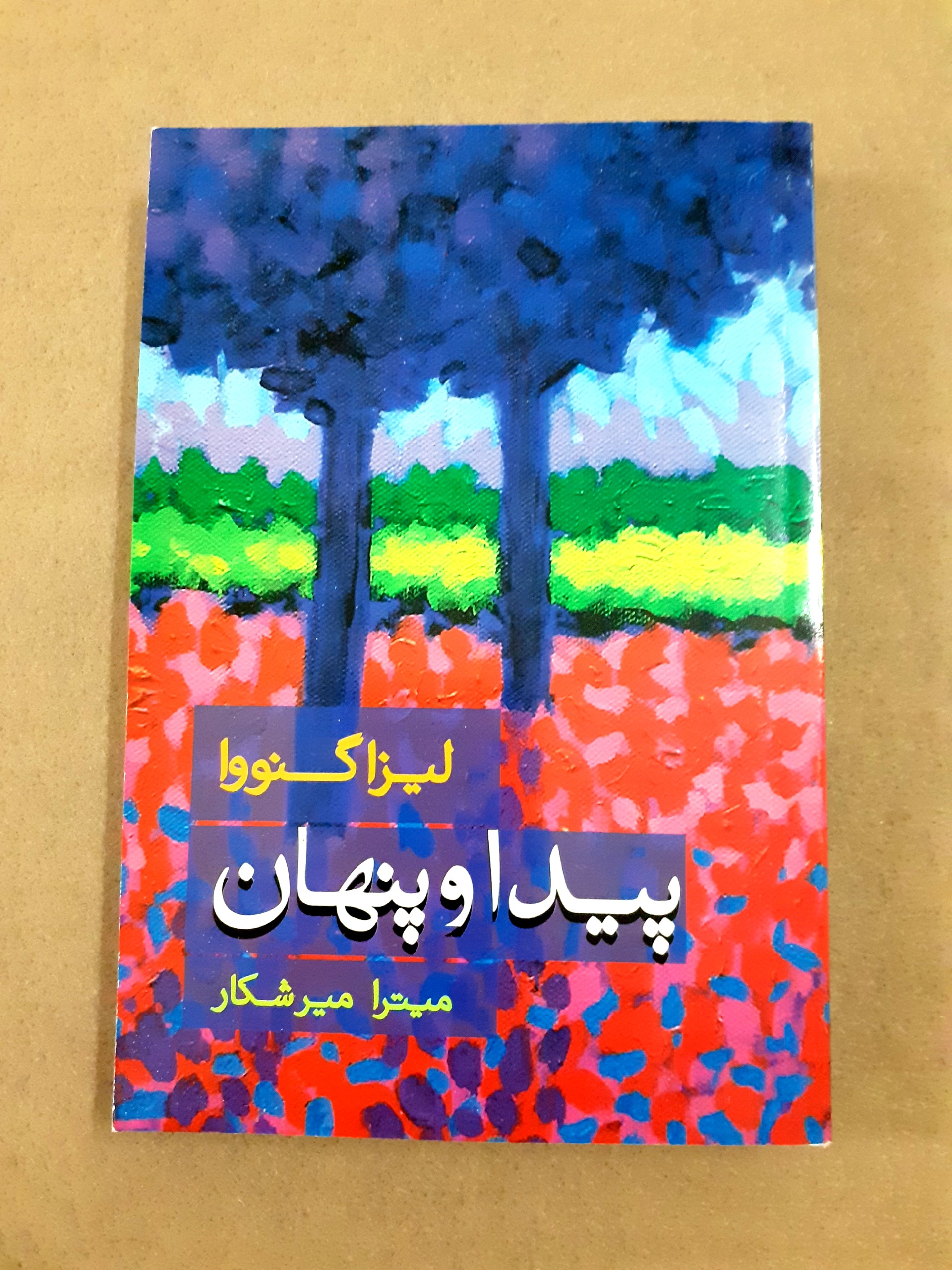 پیدا و پنهان