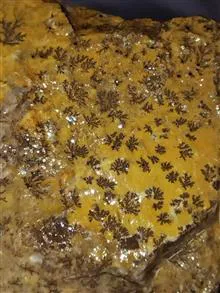 سنگ